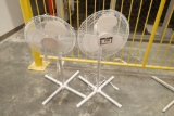 Lot of 2 Pedestal Fans.