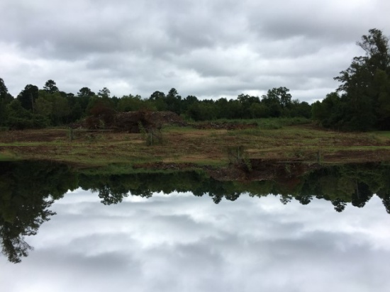 4+/- AC- Highway 80, Forest, MS