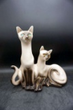 Siamese Cats, Lane 1958, California USA