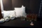 Pitcher and Glasses, Pillows, Cream and Sugar