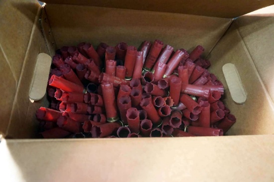 Shotgun Casings