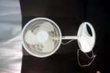 Fan