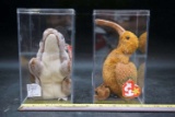 Ty Beanie Babies in acrylic cases.