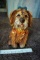 Dog statuette