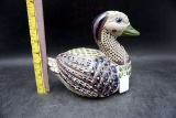 Mexico duck