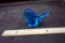 Bluebird glass paperweight.