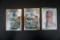 Frank Thomas Rookie MLB Baseball Cards