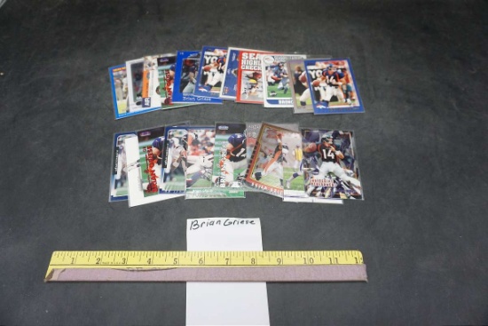 Brian Griese NFL Football Cards
