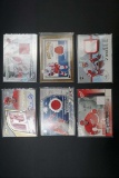6 Detroit Red Wings Hockey Game Used Jersey Cards