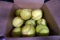 Large box full of softballs.