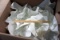 Large Box of Ice Cream Sundaes