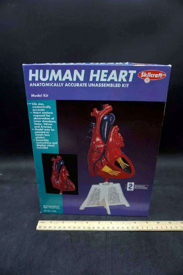Skilcraft Human Heart Model Kit