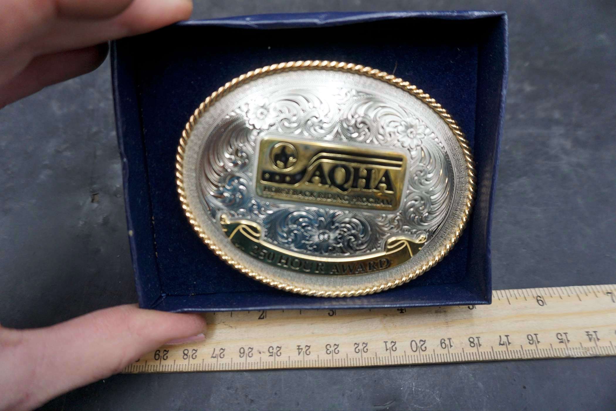 AQHA Horseback Riding Program 250 Hour Award Belt Proxibid