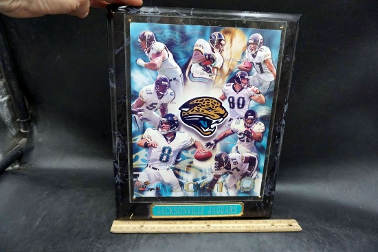 2001 Jacksonville Jaguars Plaque