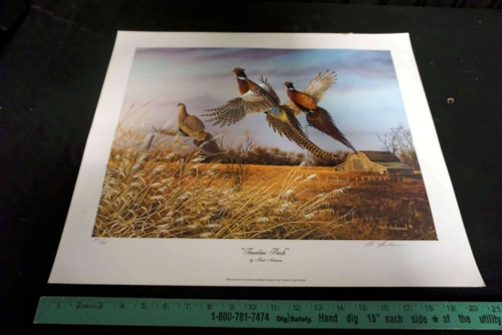 "Fenceline Flush" Signed By Mark Anderson Print