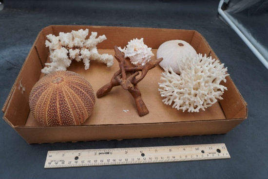 Sea Pieces - Wood, Shell & Other Pieces