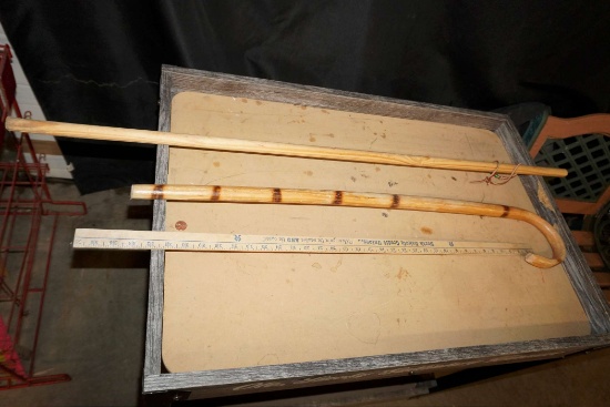 Walking Stick & Cane