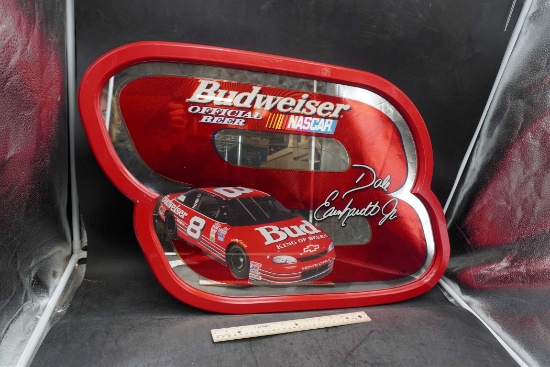 Dale Earnhardt Jr. #8 Wall Hanging Decoration