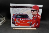 Metal Dale Earnhardt Jr. Sign