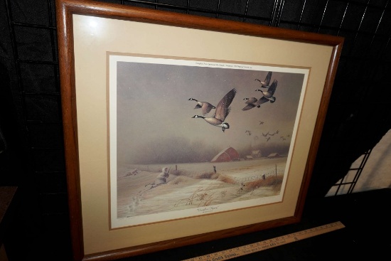 "Fenceline Flyway" Framed Picture By John C. Green 1986 - 797/1200