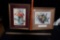 2 - Framed Flower Pictures
