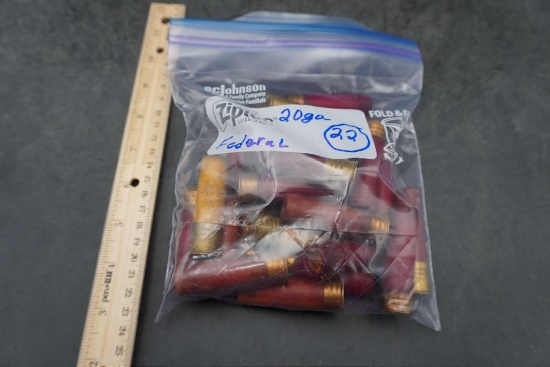 22 - 20 Ga. Federal Shells