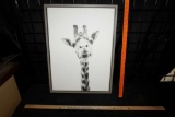 Framed Giraffe Canvas