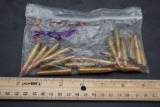 .22 Hornet Bullets