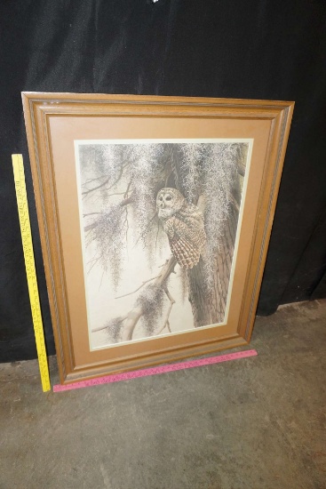 Framed Picture - Owl
