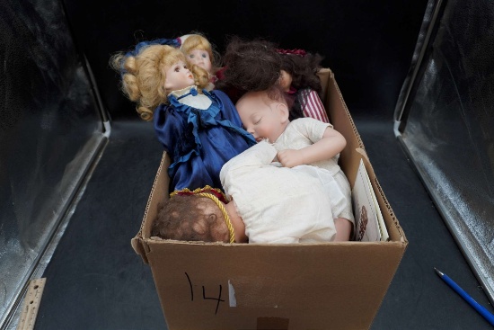 Assorted Dolls