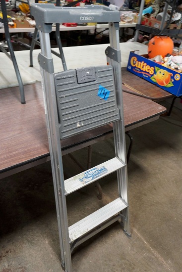 Cosco Step Ladder