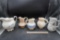 5 - Pitchers (Iris & Others)