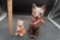 Floral Cat Figurines (2)