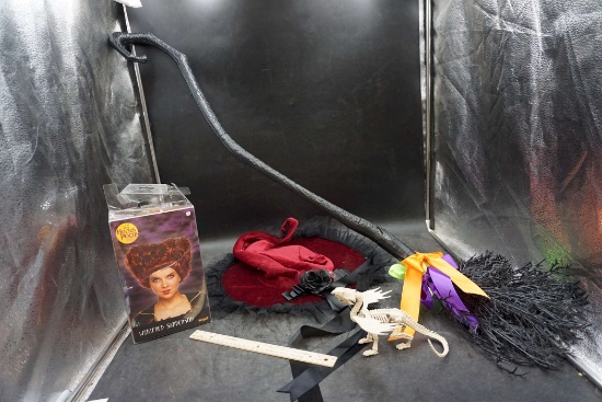 Witch'S Broom & Hat, Skeleton Dragon & Winifred Sanderson Wig