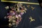 Metal Floral Flower Decoration & Hummingbird Stakes