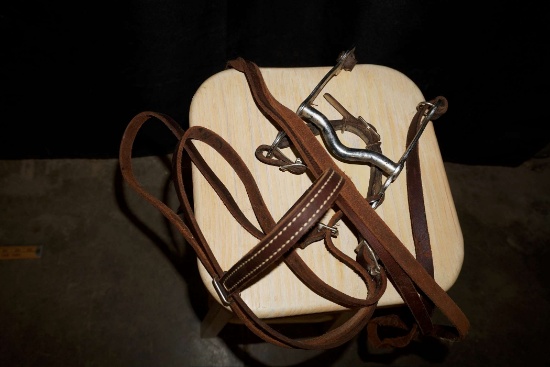 Horse Bridle
