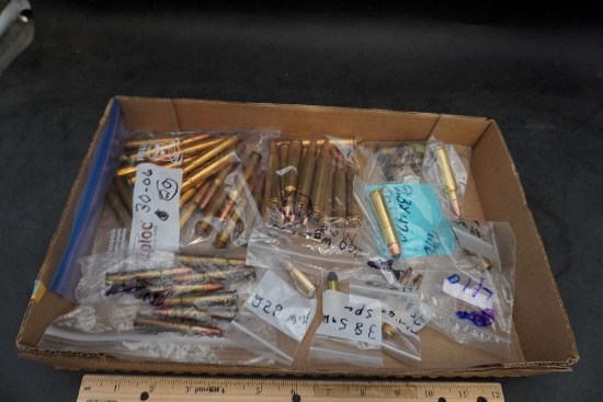 Assorted Shells