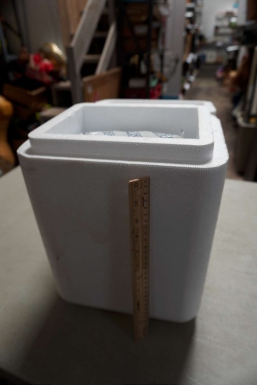 Styrofoam Cooler W/ Dry Ice Bags