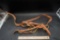Leather Halter?