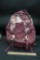 The North Face Backpacks