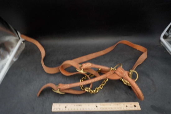 Leather Halter?