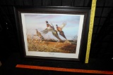 Framed 