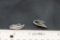 M.F. Relios Sterling Silver Feather Earrings