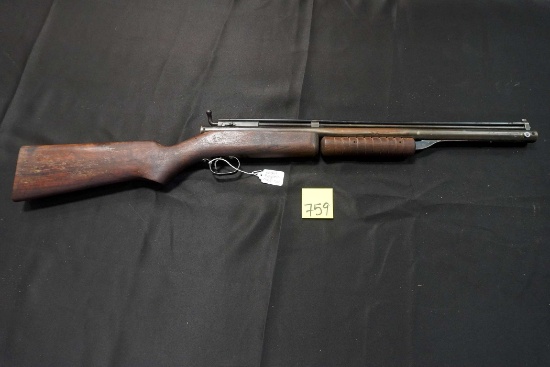 Benjamin 100 Shot Model 3100