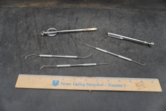 Metal Dental Tool Set (5 Pieces)