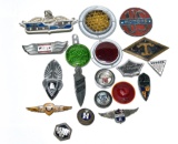 Large Collection Lot of 19 Automobile & Truck Emblems and Badges