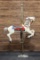 Carousel Horse on Brass Pole