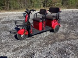 3 Wheel Riding Vogue Electric Scooter