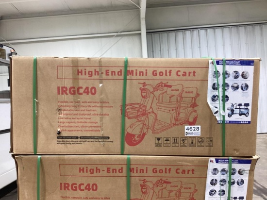 IRGC40 Mini Electric Scooter