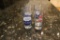 4 Collectable shot glasses 3-Royal Caribbean 1- Cleveland Indians